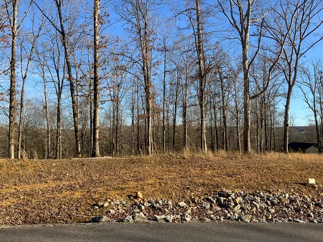 $40,000 | 0 Havenwood Road, McEwen, TN 37101