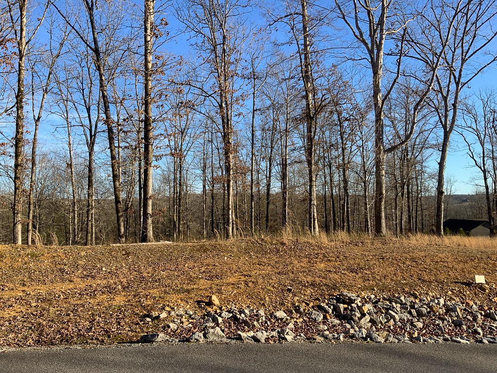 0 Havenwood Road McEwen, TN 37101 - Photo 5 of 9