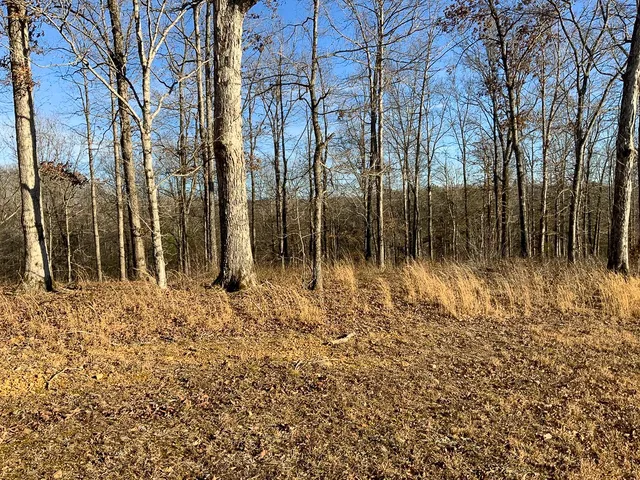 $40,000 | 0 Havenwood Road, McEwen, TN 37101