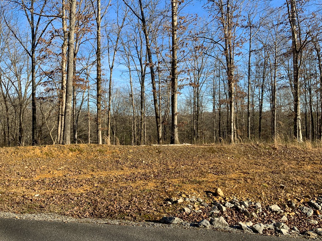 0 Havenwood Road McEwen, TN 37101 - Photo 7 of 9