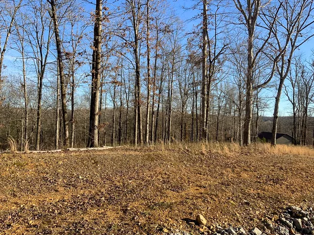 $40,000 | 0 Havenwood Road, McEwen, TN 37101