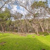 a view of yard with tree