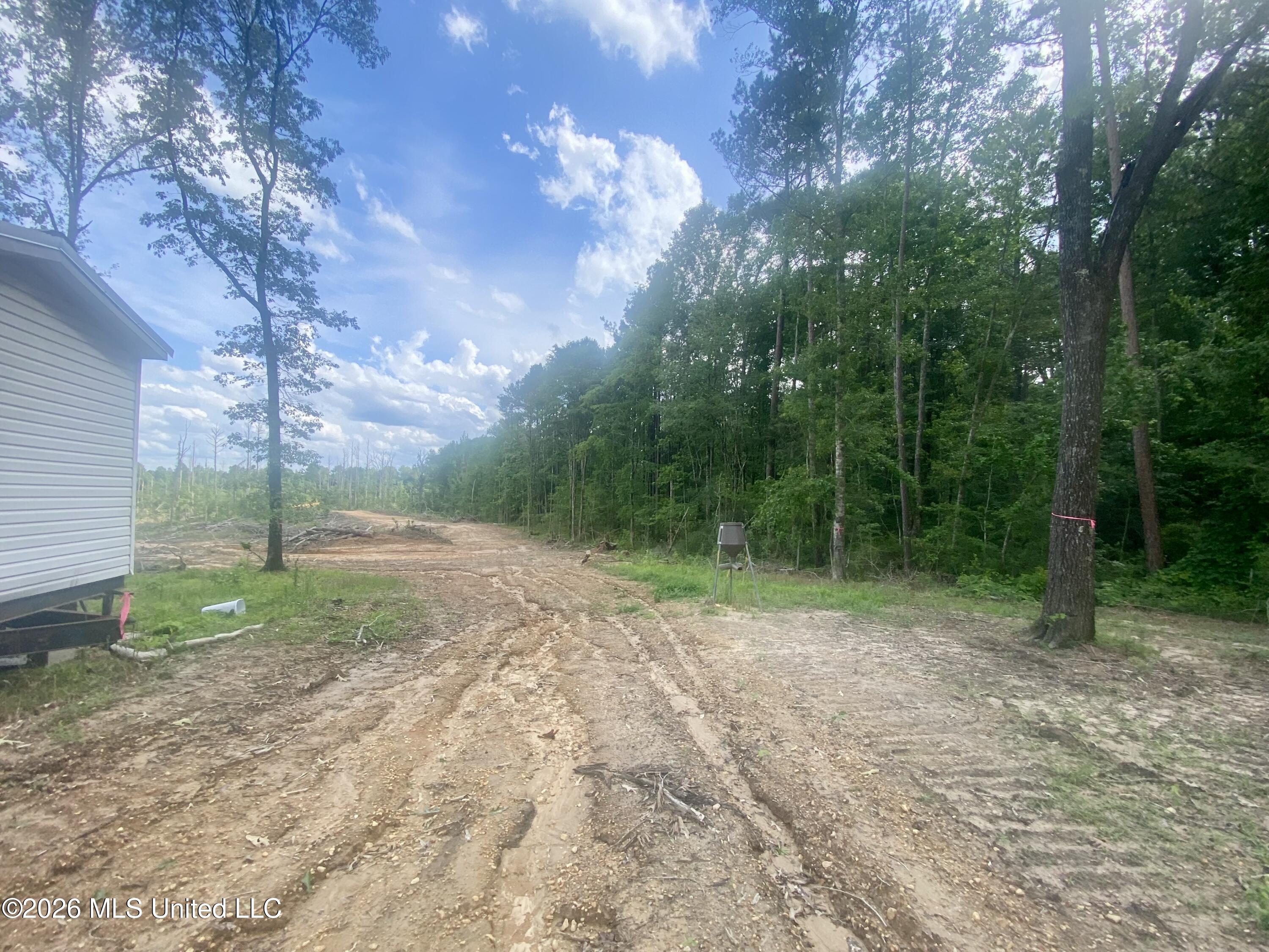 4194 Martinsville Road Wesson, MS 39191 - Photo 3 of 9 IMG_5910