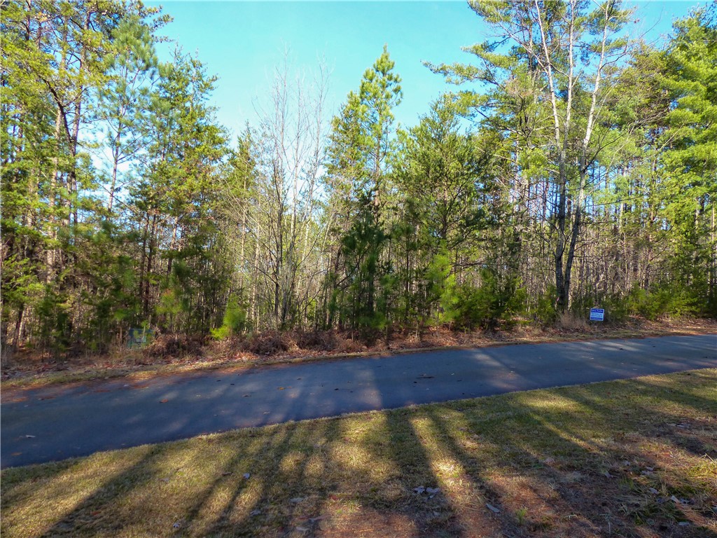 S-9 Jocassee Ridge Way Salem, SC 29676 - Photo 3 of 4 Gallery Image 3