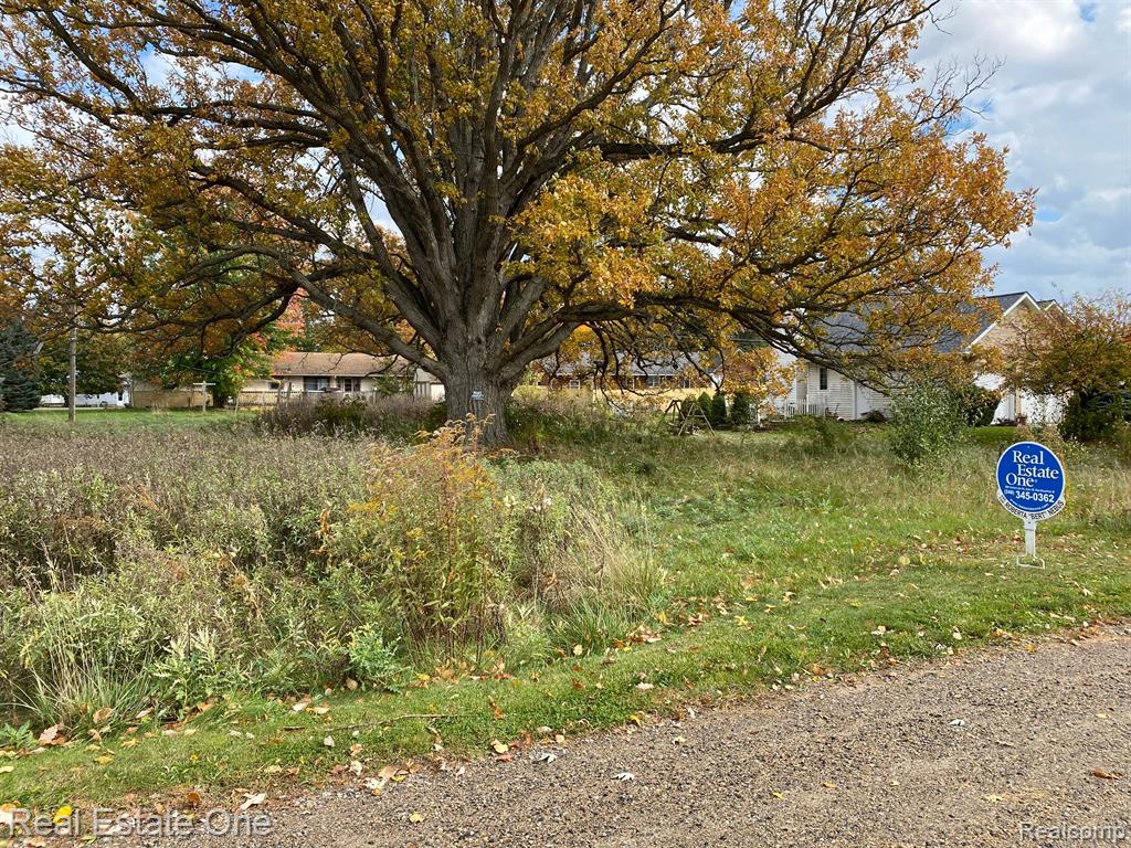 Vl Meadowlawn Road Fowlerville, MI 48836 - Photo 1 of 9