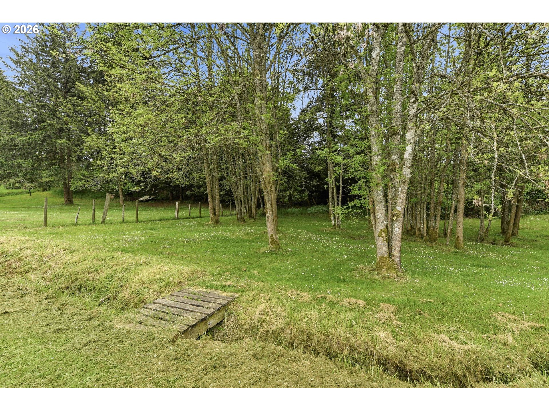 1820 East Cedar Street Myrtle Point, OR 97458 - Photo 27 of 37 Yard