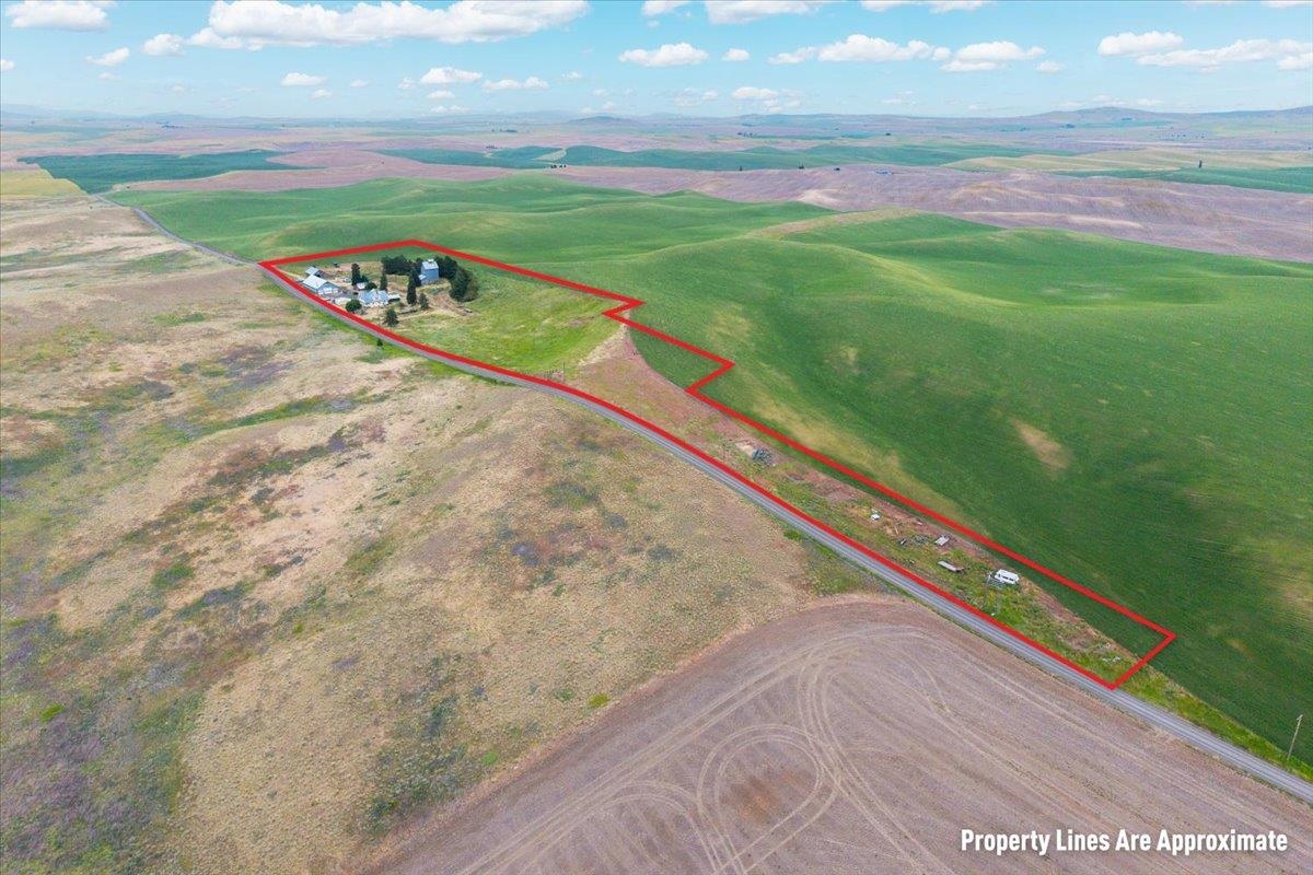 19250 Limestone Road Davenport, WA 99122 - Photo 42 of 46