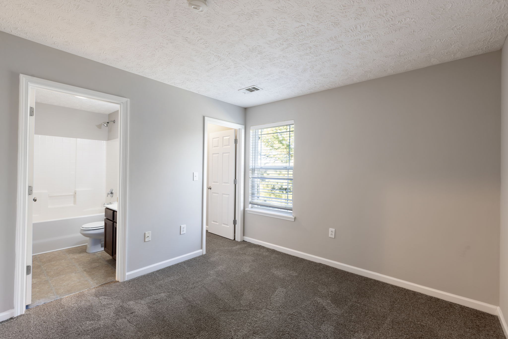 1007 Wells Way Spring Hill, TN 37174 - Photo 8 of 15 an empty room with windows and bathroom view