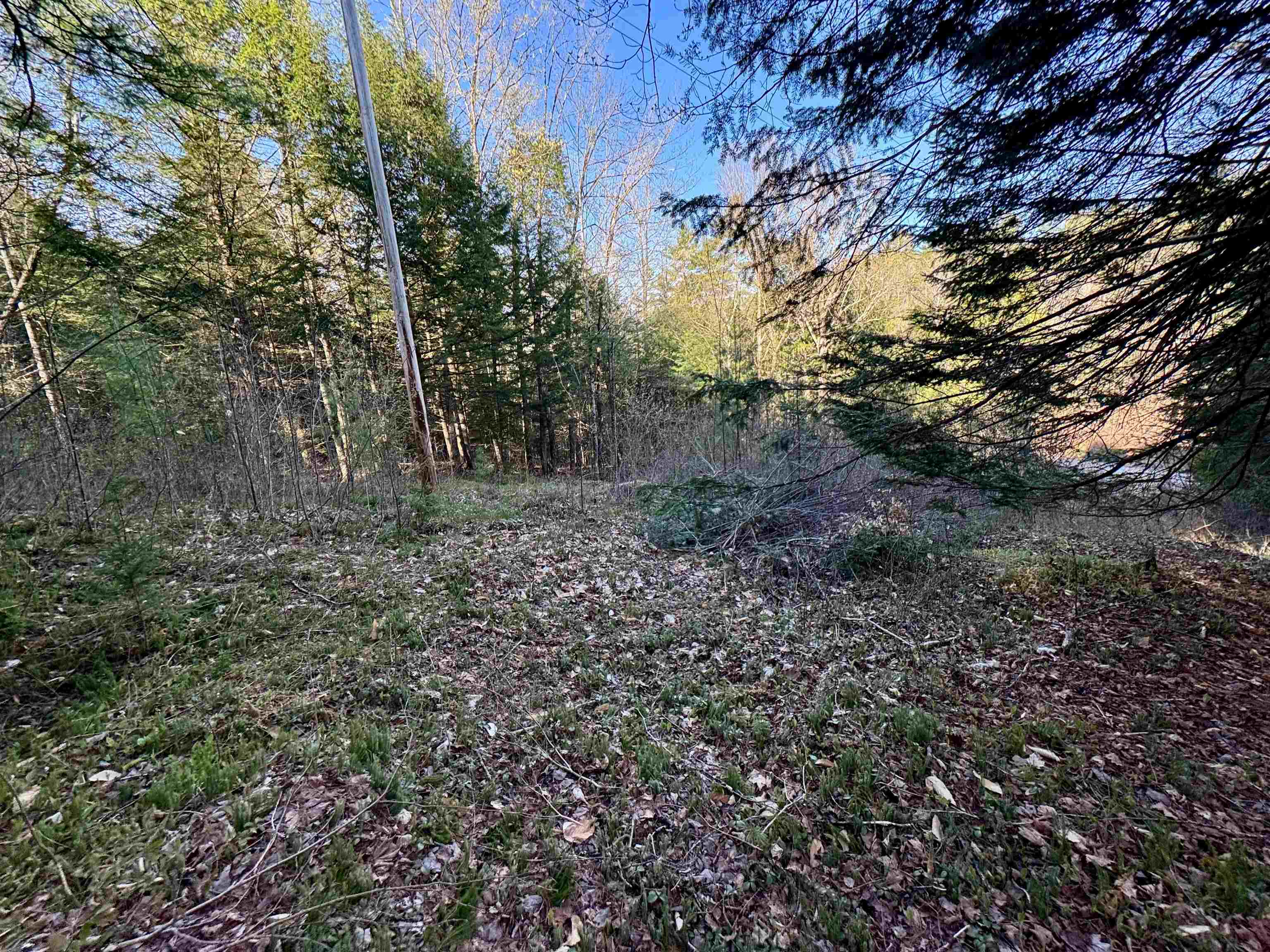 0 Branch Brook Road Groton, VT 05046 - Photo 5 of 11