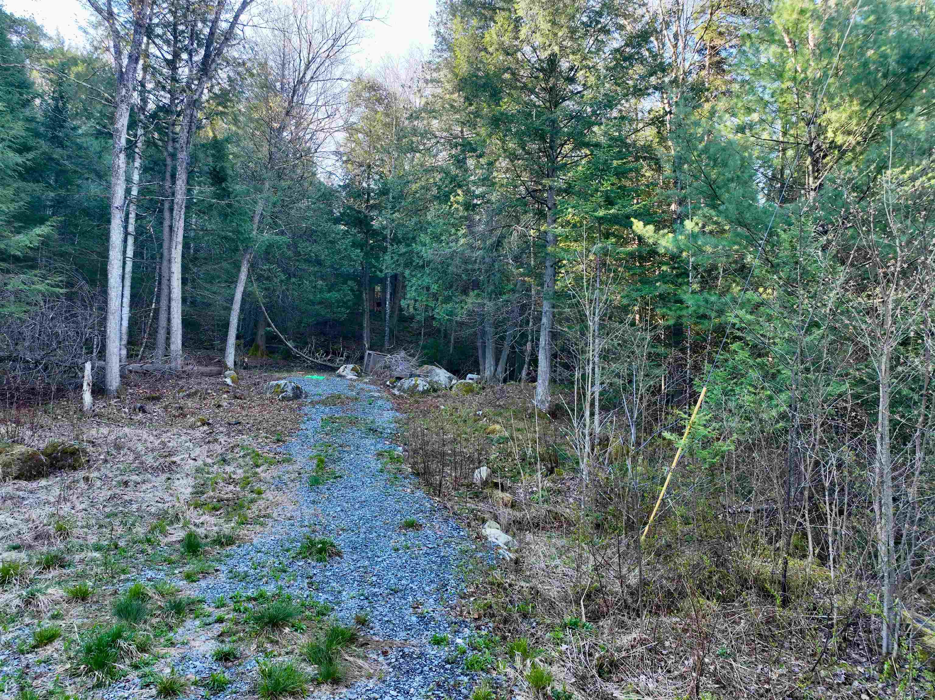 0 Branch Brook Road Groton, VT 05046 - Photo 6 of 11