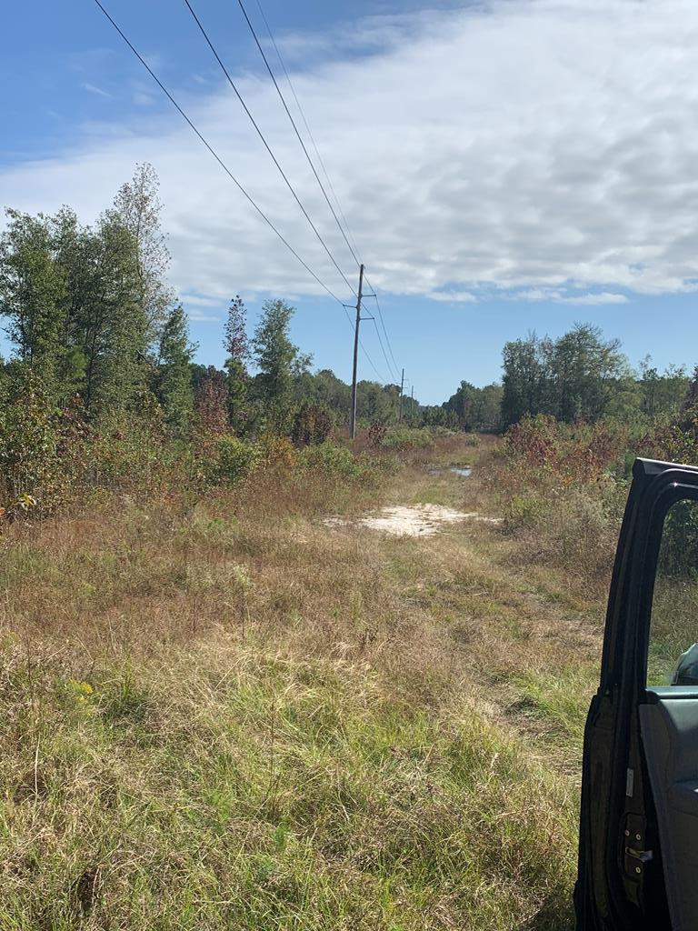 0 West Foxworth Mill Road Sumter, SC 29153 - Photo 1 of 7