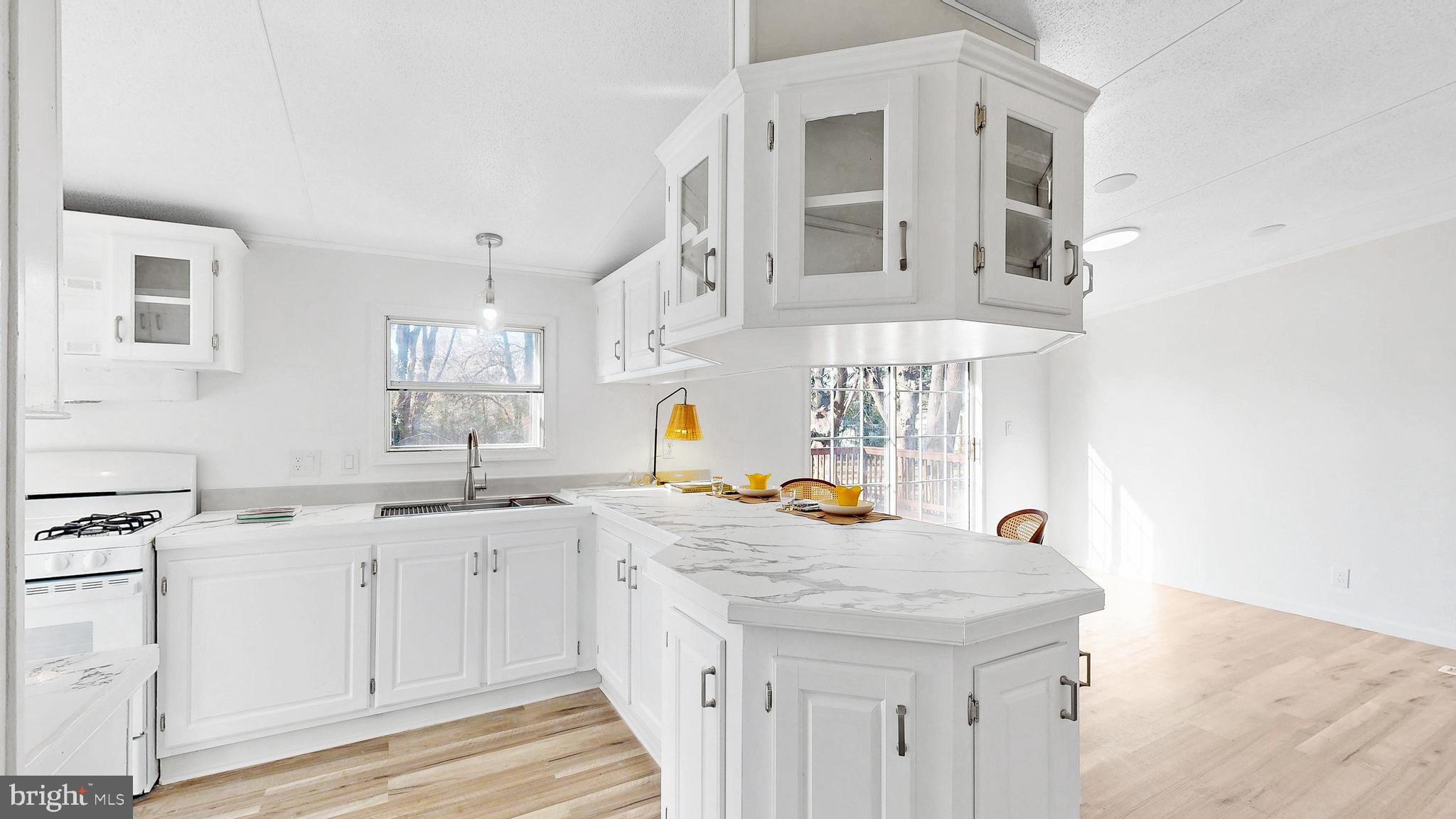 224 Shamrock Avenue Dover, DE 19901 - Photo 8 of 52 a kitchen with a sink a stove and cabinets