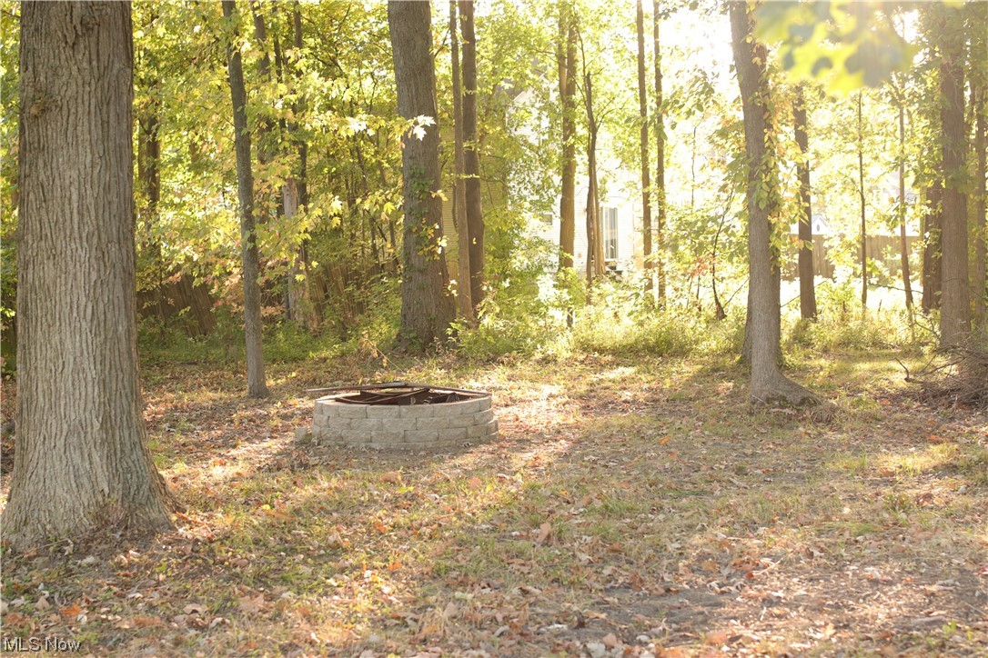 5880 Jaycox Road North Ridgeville, OH 44039 - Photo 21 of 21 View of nature