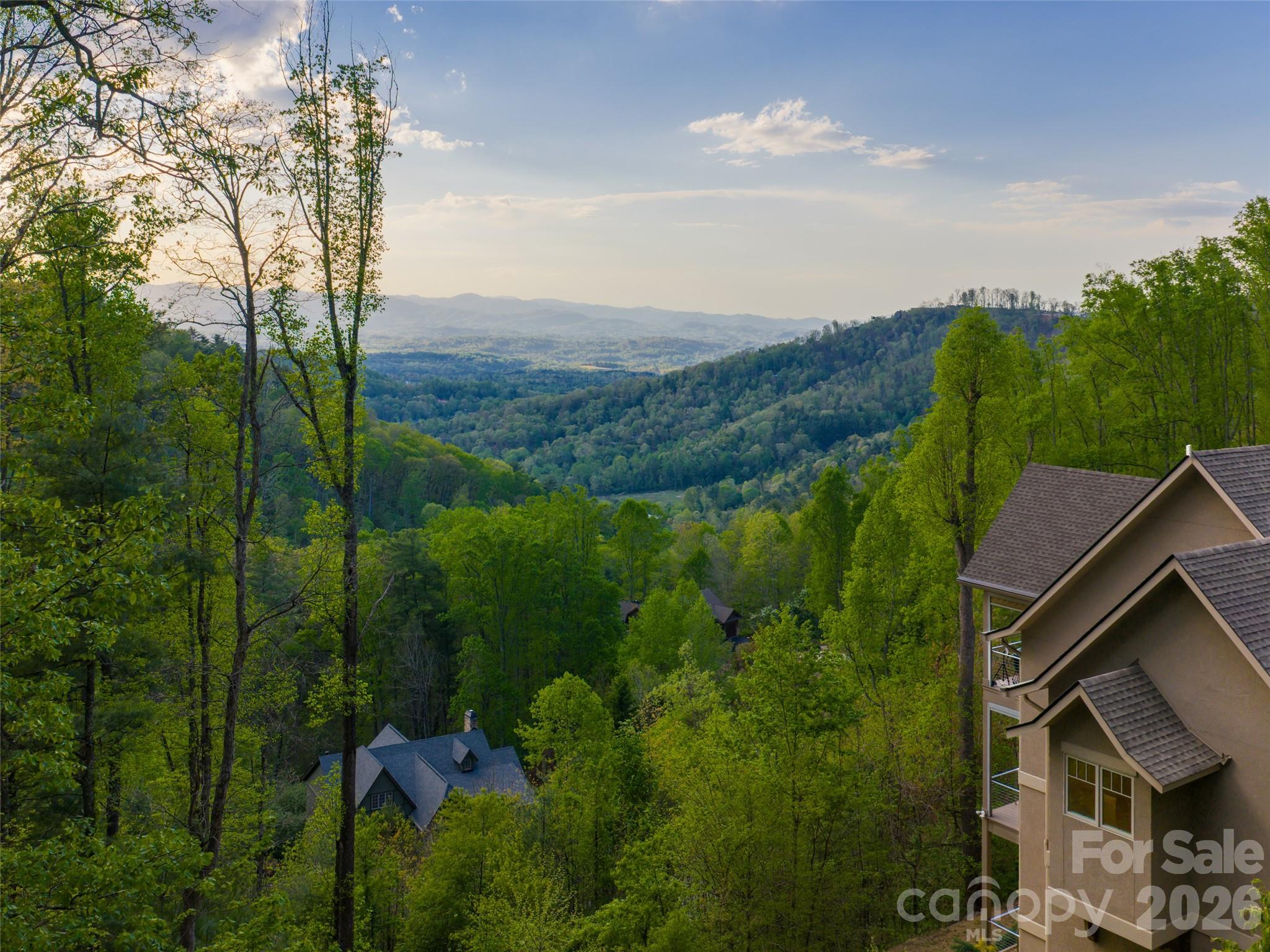32 Timberwolf Court Asheville, NC 28804 - Photo 6 of 44