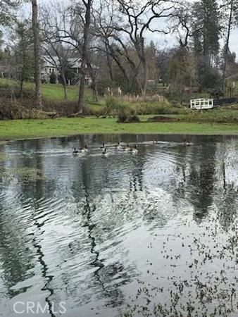 a view of a lake with a yard