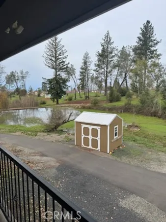 a view of a yard with plants and large trees