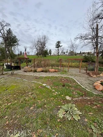 a view of park with green space