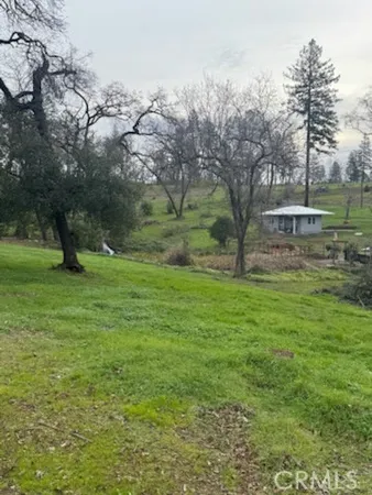 a view of outdoor space with green field and trees