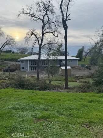 a view of a park with large trees