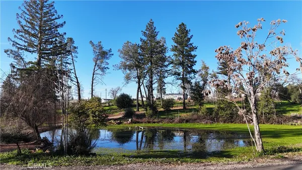 a view of a garden with trees