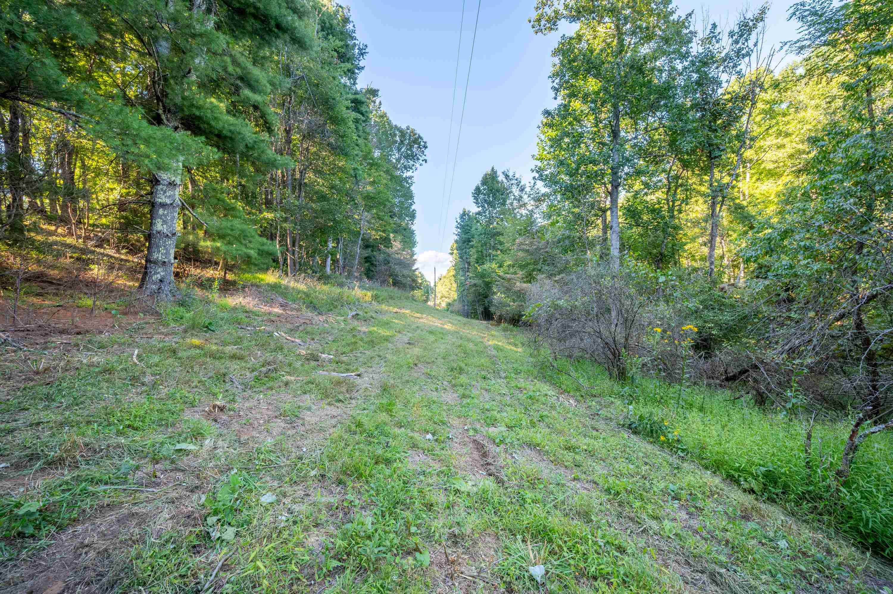 1287 Cox Store Road Southwest Floyd, VA 24091 - Photo 4 of 22 Gallery Image 4