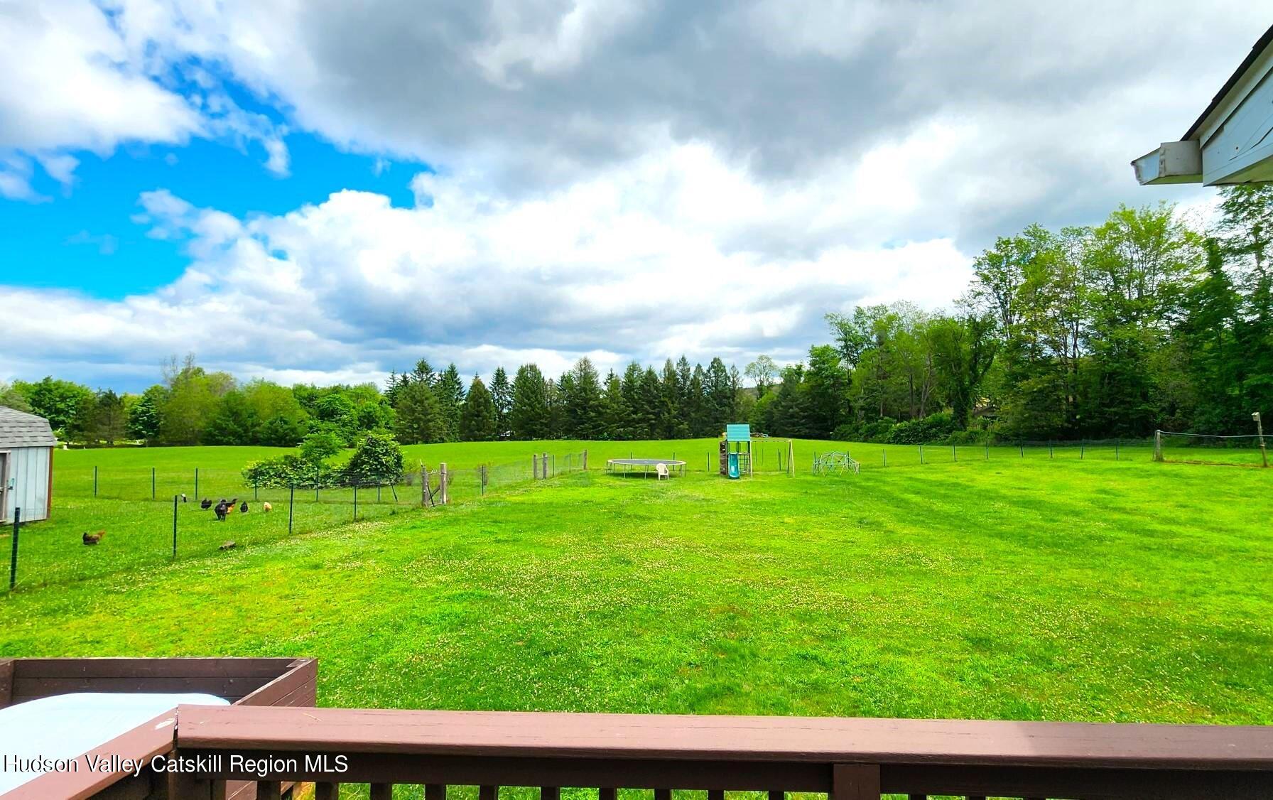 1262 County Road 2 Olivebridge, NY 12461 - Photo 29 of 42 a view of yard with grass and green space