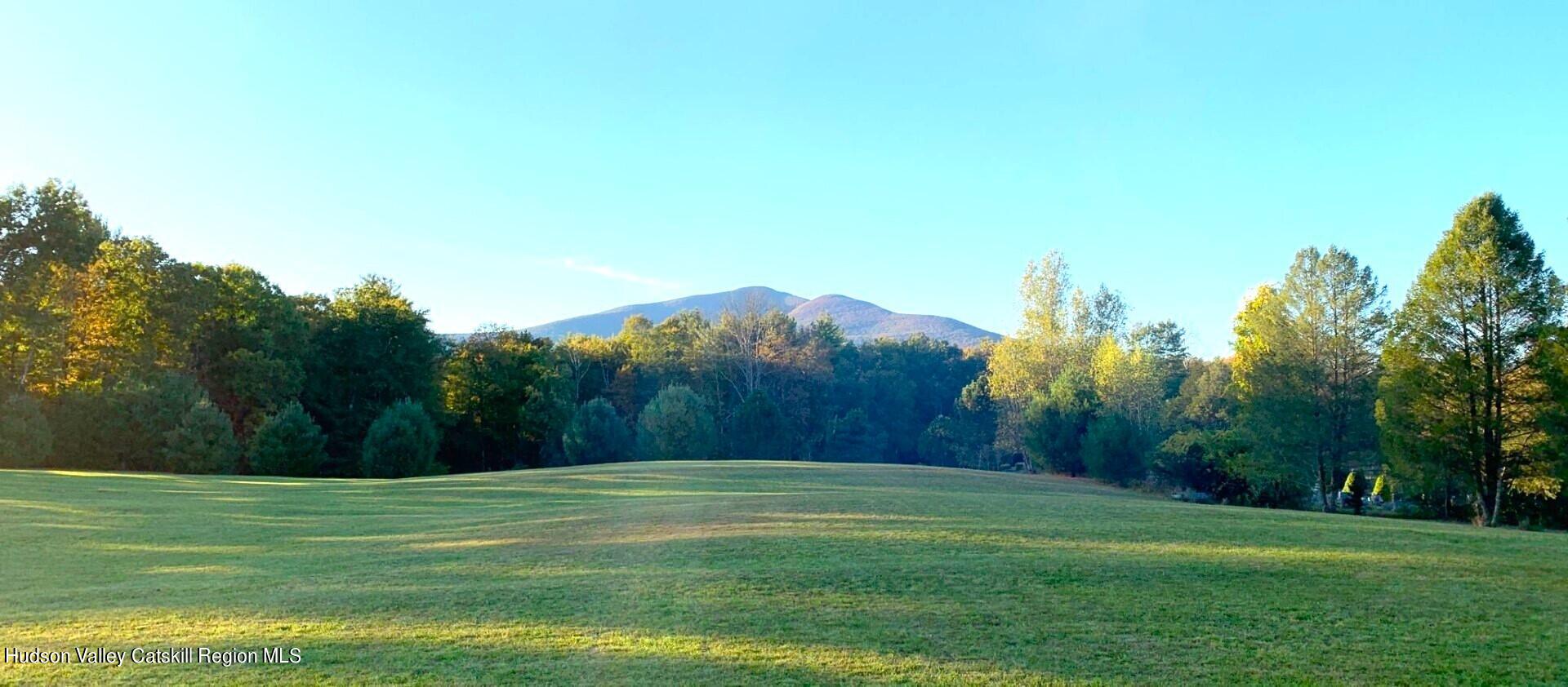 1262 County Road 2 Olivebridge, NY 12461 - Photo 7 of 42 a big yard with lots of green space