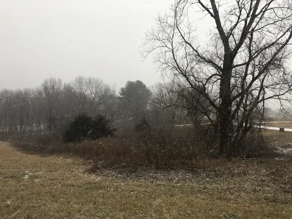 $15,000 | 226 Fox Court, Apple River, IL 61001