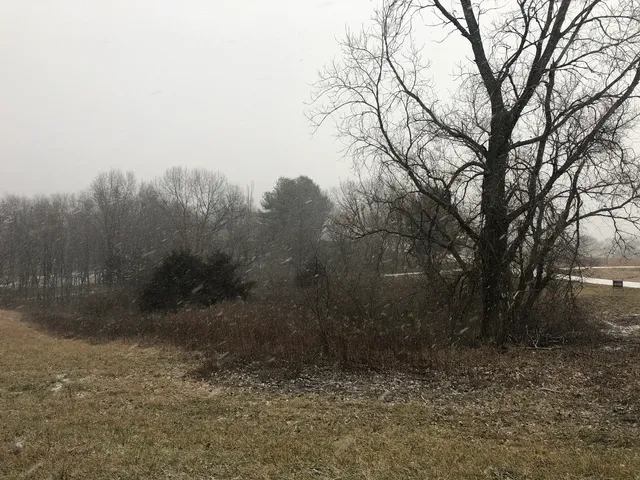 $15,000 | 226 Fox Court, Apple River, IL 61001