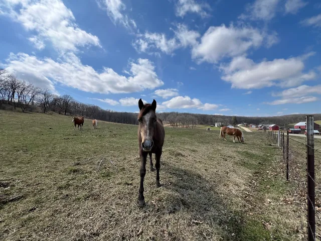 $15,000 | 226 Fox Court, Apple River, IL 61001