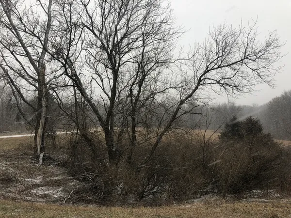 $15,000 | 226 Fox Court, Apple River, IL 61001