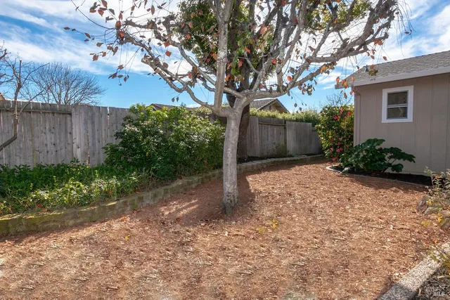 a view of a garden with flowers