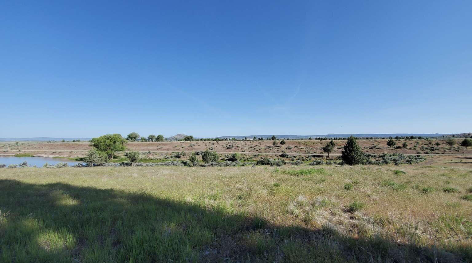 Shasta View Drive Alturas, CA 96101 - Photo 11 of 26 a view of a big yard with trees