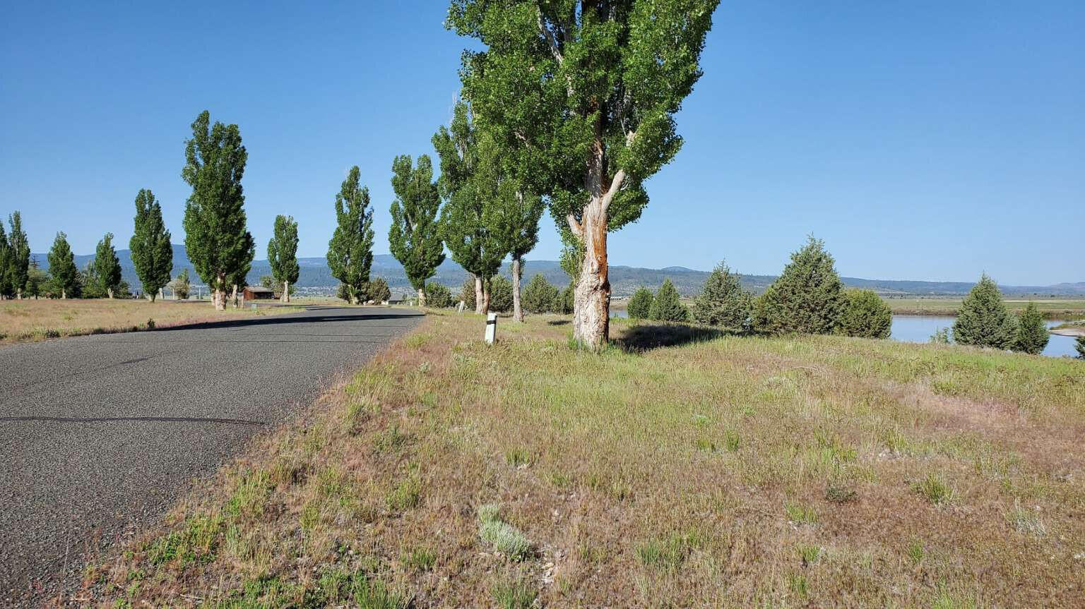 Shasta View Drive Alturas, CA 96101 - Photo 2 of 26 a backyard of a house with lots of green space