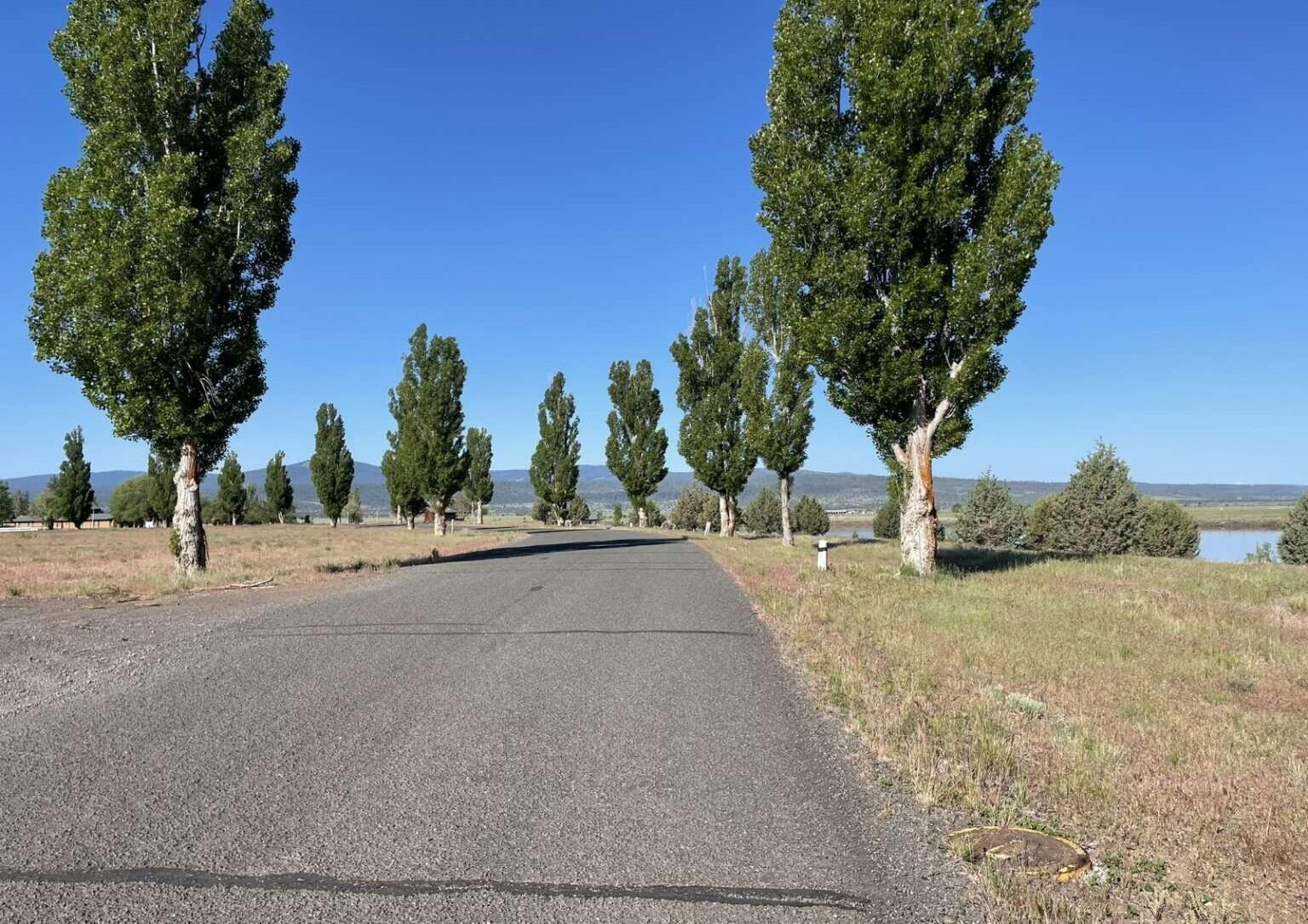 Shasta View Drive Alturas, CA 96101 - Photo 23 of 26 a view of a street