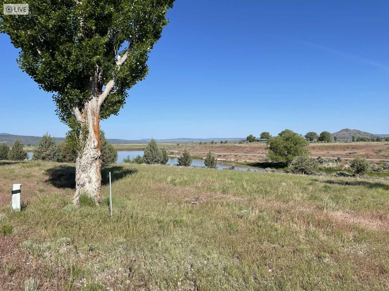 Shasta View Drive Alturas, CA 96101 - Photo 7 of 26 a view of a yard with an trees