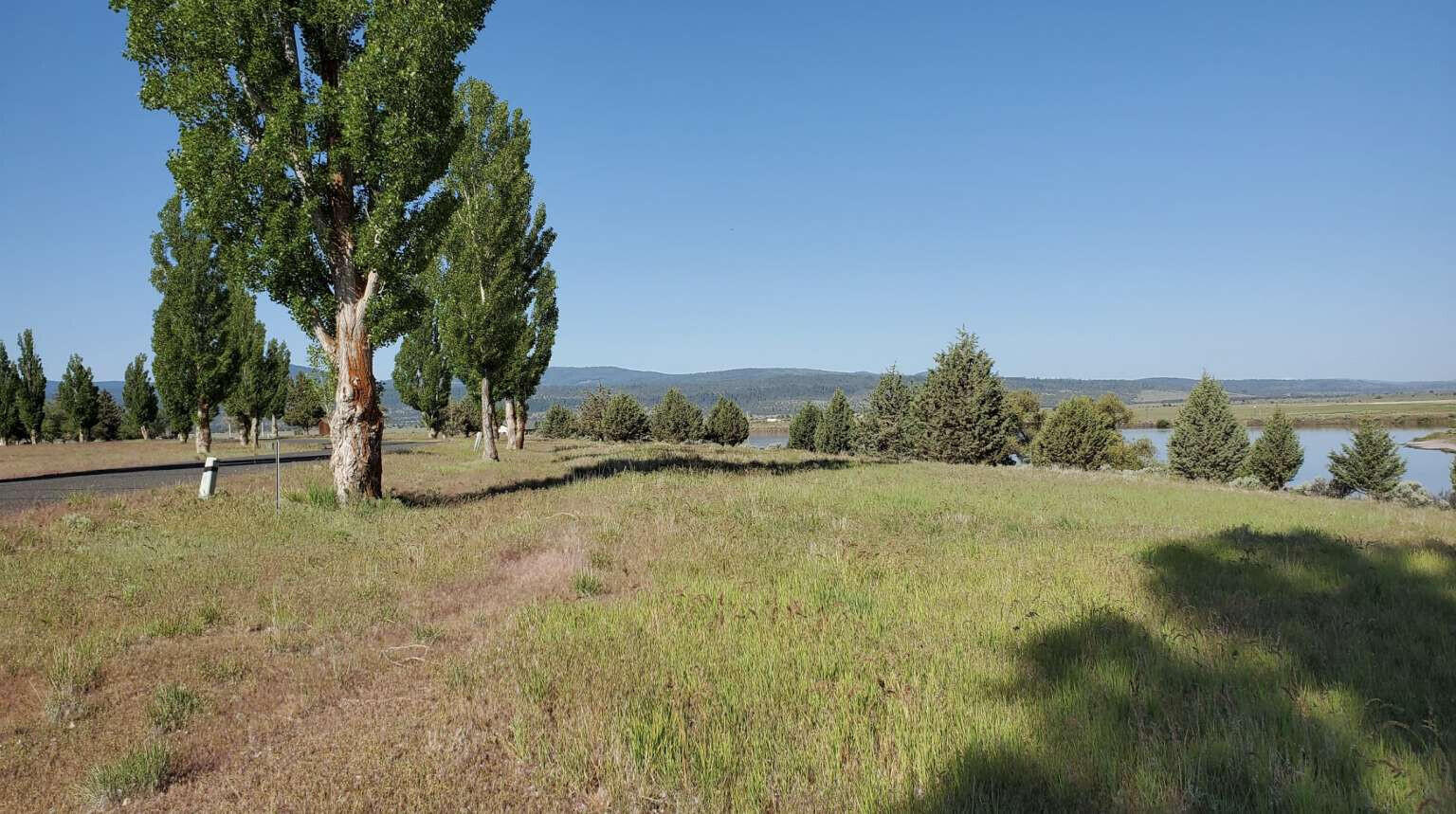 Shasta View Drive Alturas, CA 96101 - Photo 8 of 26 a view of a field with trees