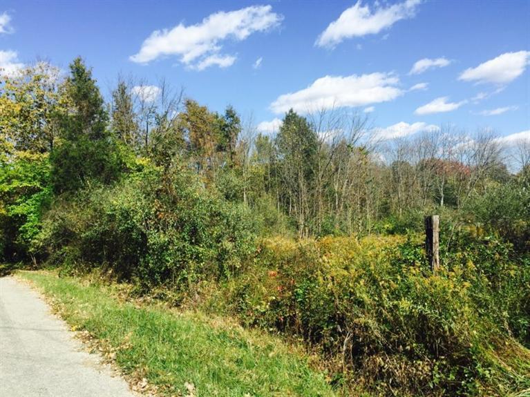 51.490-ac Klein Road Mount Orab, OH 45154 - Photo 1 of 1 Gallery Image 1