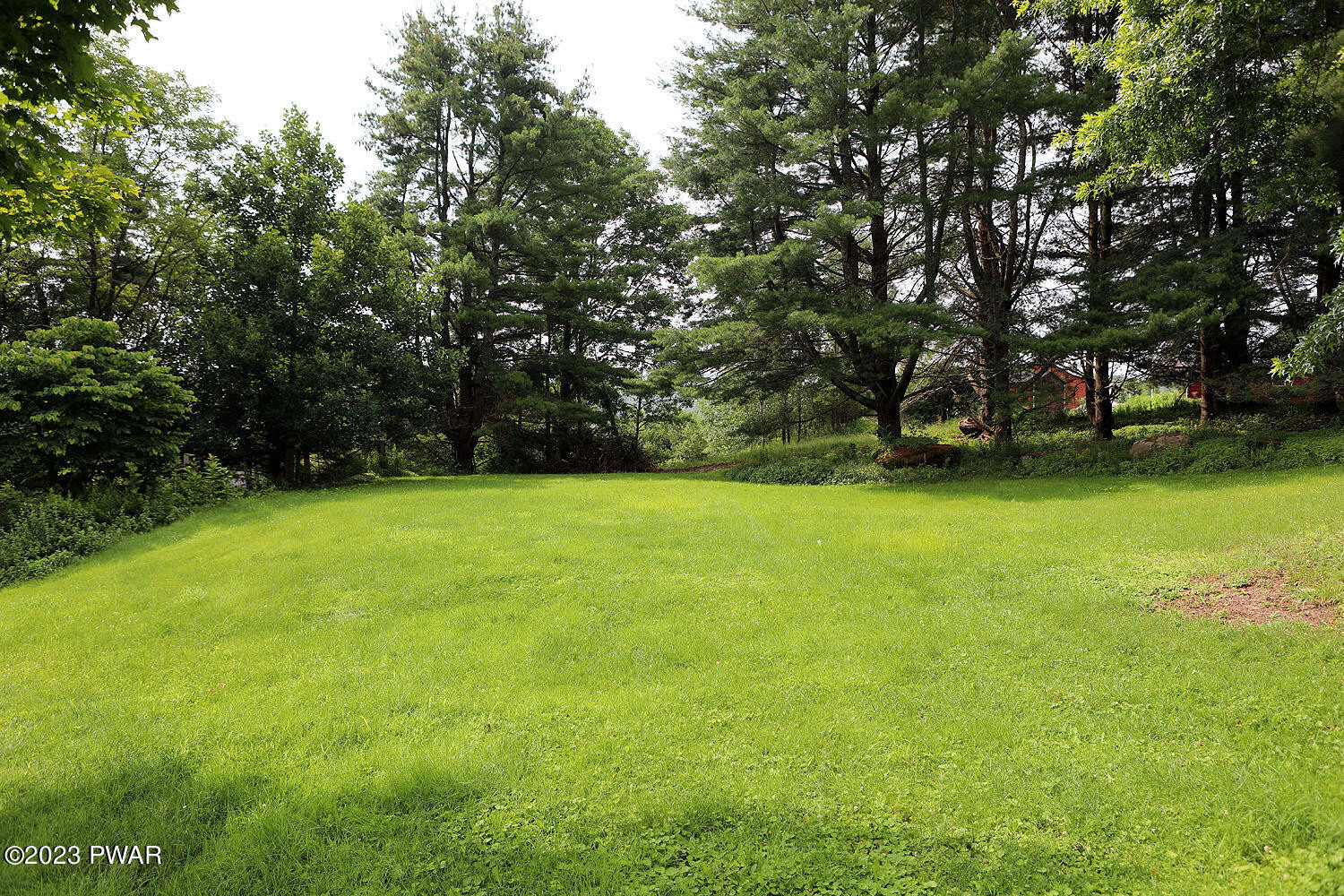 201 Chicopee Road Damascus, PA 18415 - Photo 5 of 32 Lush lawn