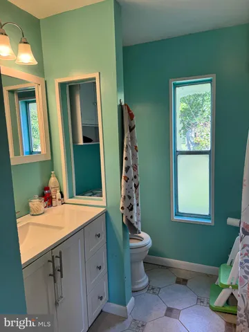 a bathroom with a sink toilet and mirror
