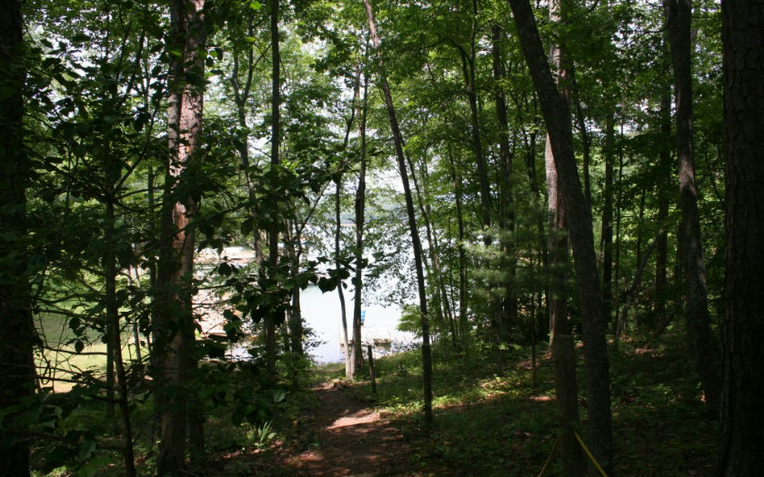 Main View