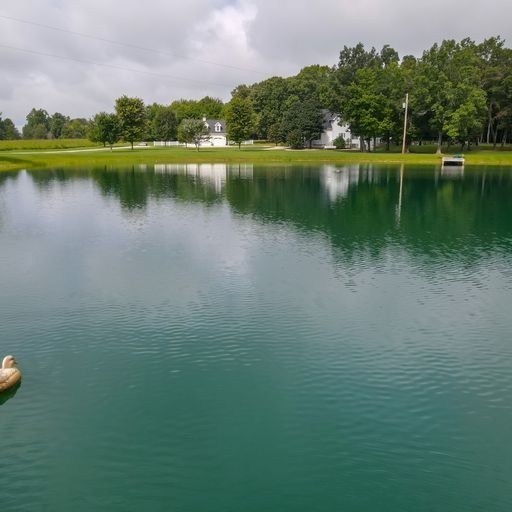 1895 Zeb Warren Road Cookeville, TN 38506 - Photo 22 of 70