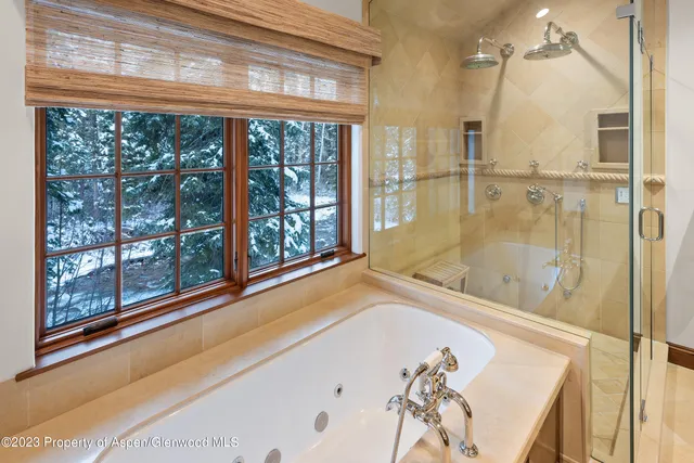 a bathroom with a bathtub and a shower