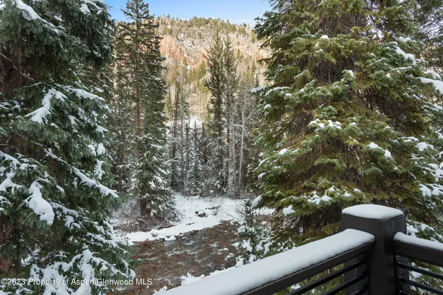 a view of a tree in a backyard
