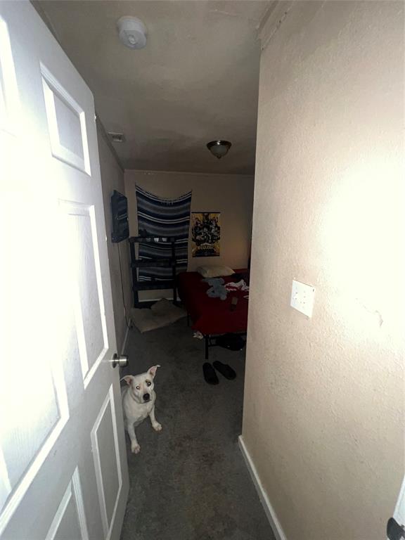 9104 Farmers Road White Settlement, TX 76108 - Photo 9 of 40 Hallway with dark carpet and a textured wall