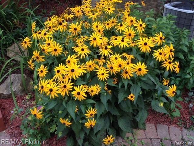 22270 Chubb Road Northville, MI 48167 - Photo 25 of 32 IMG_0872.JPG