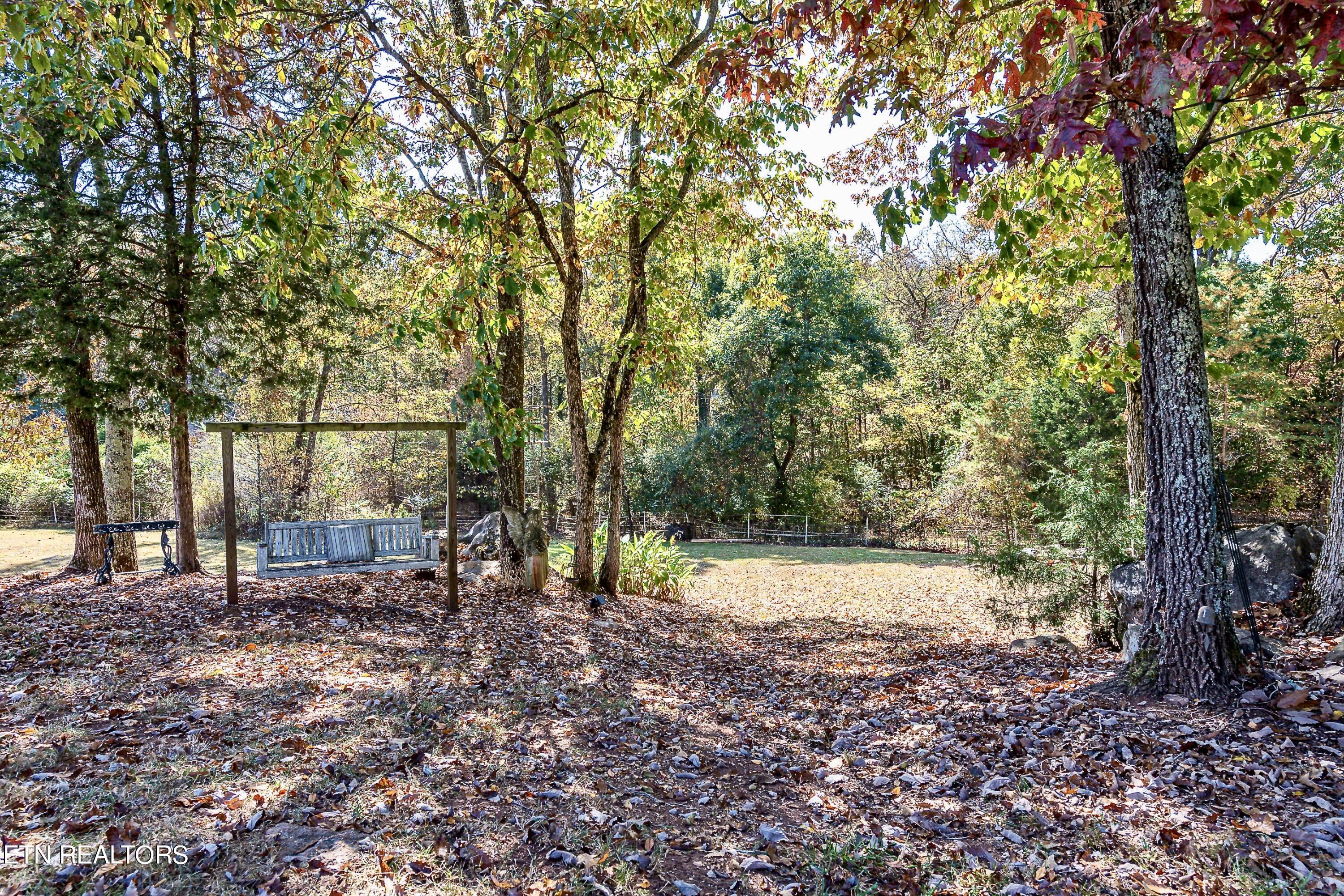 3861 Light Pink Road Louisville, TN 37777 - Photo 8 of 30 DSC_8868