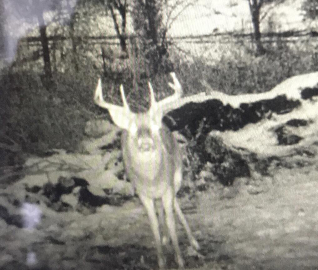 19538 Grass Lake Road Manchester, MI 48158 - Photo 52 of 52 8EE52B76-BBBE-4F3D-ACC6-27D0E3967FA5