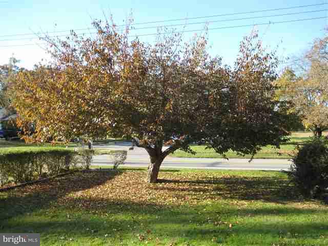 205 Pine Road Mount Holly Springs, PA 17065 - Photo 3 of 22 Gallery Image 3