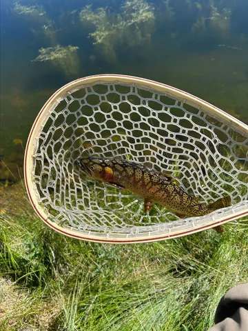 $9,950,000 | 7010-n Hwy 149 Tbd Lake, Lake City, CO 81235